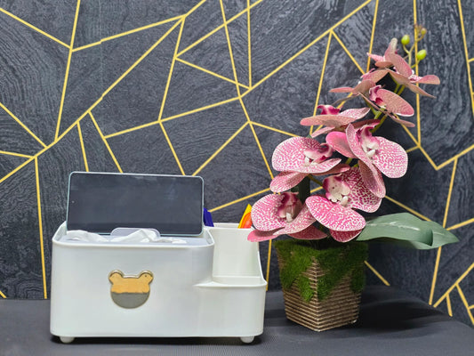 Multi-functional Tissue & Organizer Box / মাল্টিফাংশনাল টিস্যু ও অর্গানাইজার বক্স