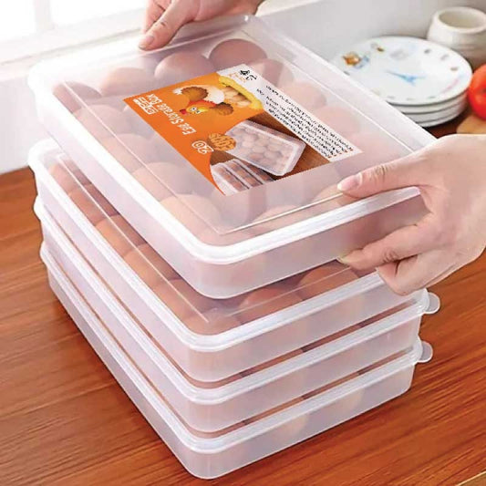 20 Grid Egg Storage Box / ২০ গ্রিড এগ বক্স