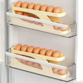 Refrigerator Egg Dispenser Tray / ফ্রিজে ডিম রাখার ট্রে
