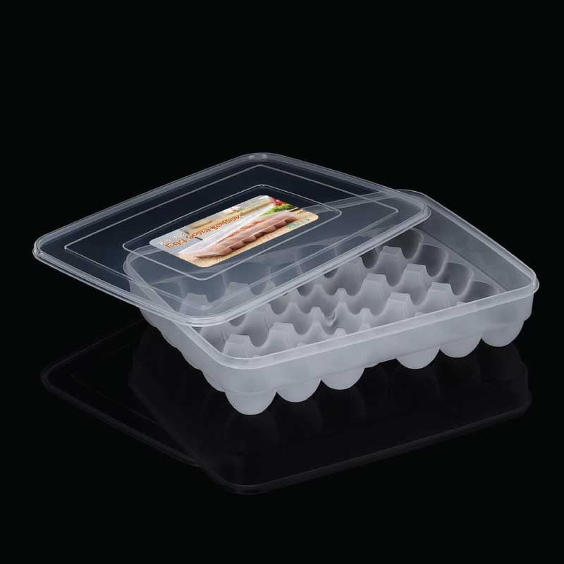 34 Gird Egg Storage Box / ৩৪ গ্রিড এগ স্টোরেজ বক্স
